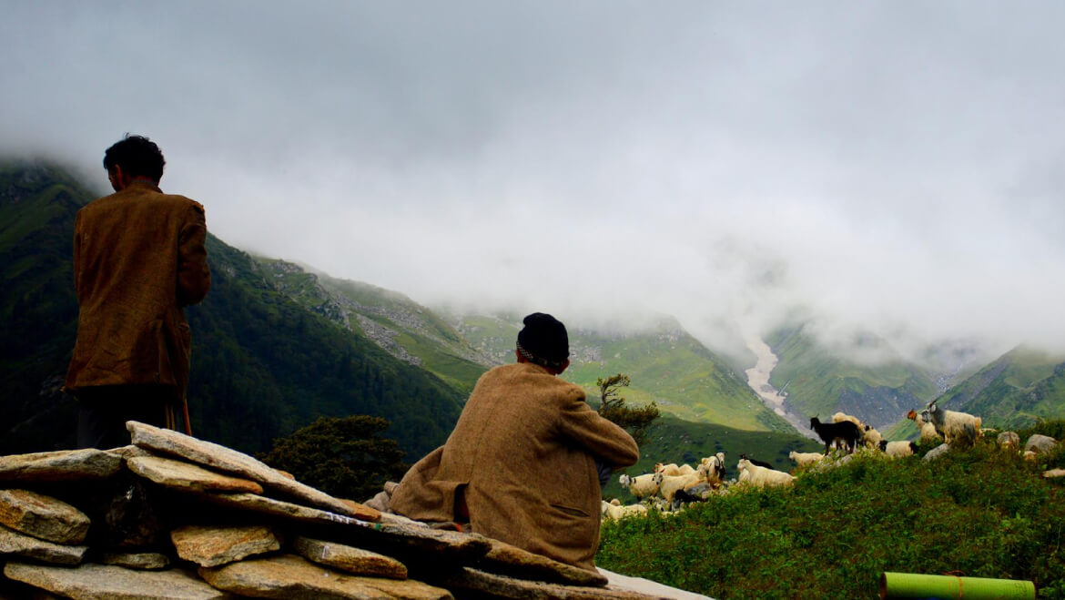 Shepherd Trail Gaddi Trek